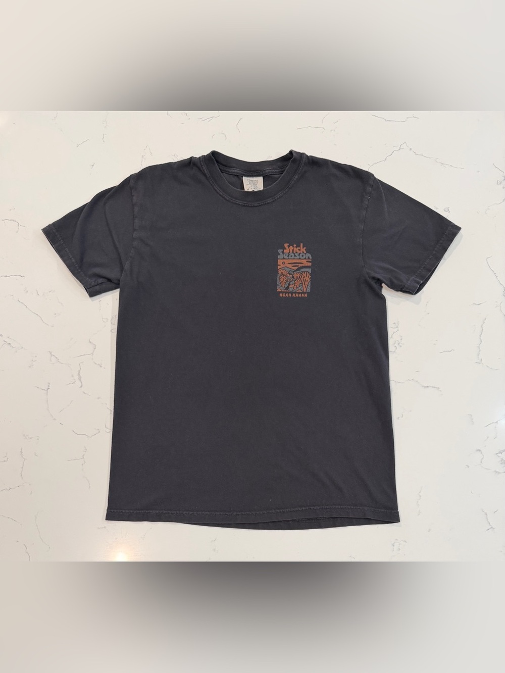 Noah Kahan Stick Season We’ll All Be Here Forever Shirt Comfort Colors M - Picture 2 of 5